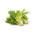 Green Frilly Endive [ Head ]