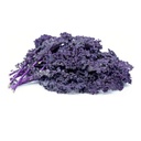 Purple Kale [ 125g ]