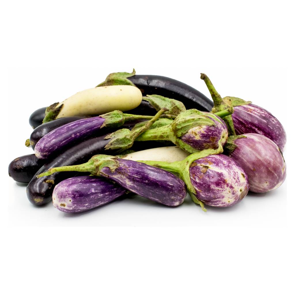 Long Mix Aubergine [ 500g ]