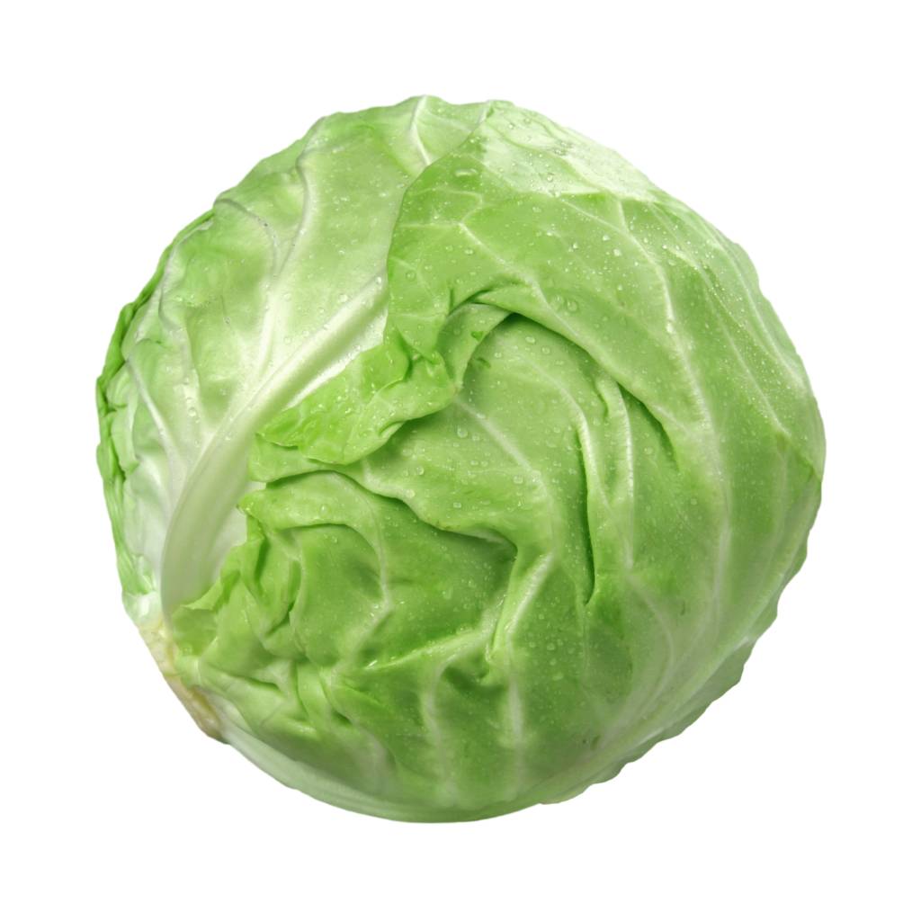 Midi Green Cabbage [ Head ]