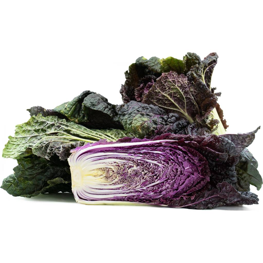 Red Napa Cabbage  [ Head ]