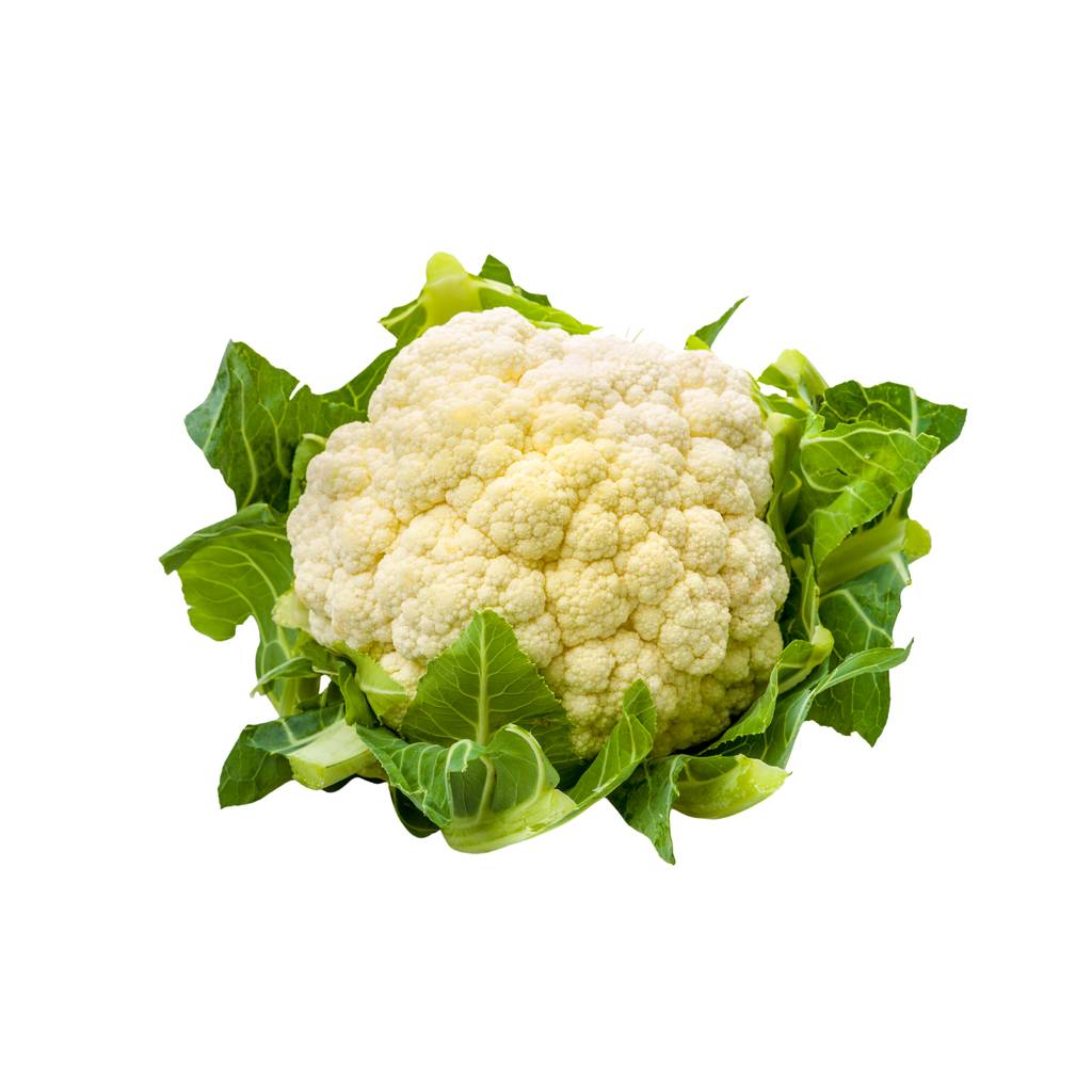 White Cauliflower [ Head ]