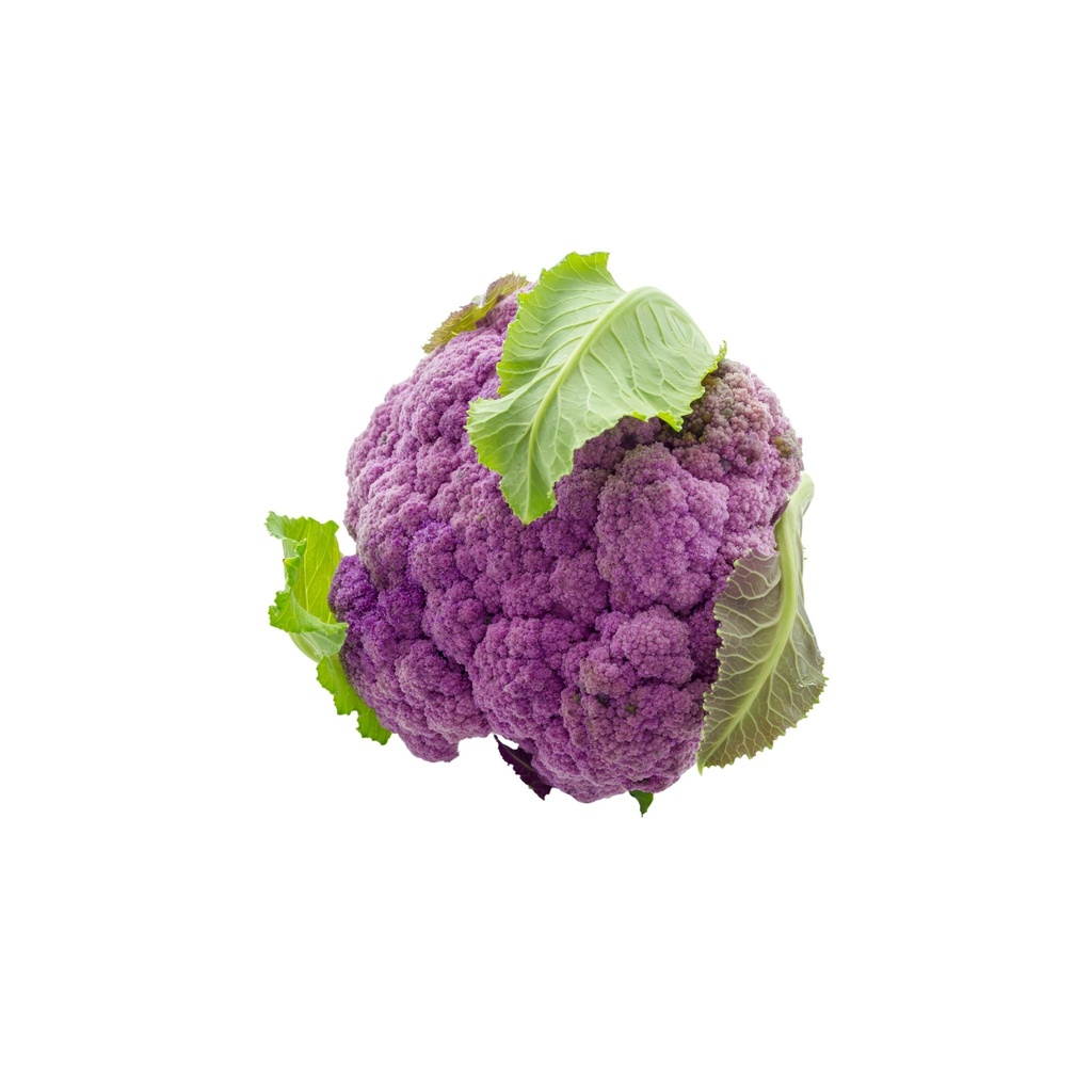 Purple Cauliflower [ Head ]