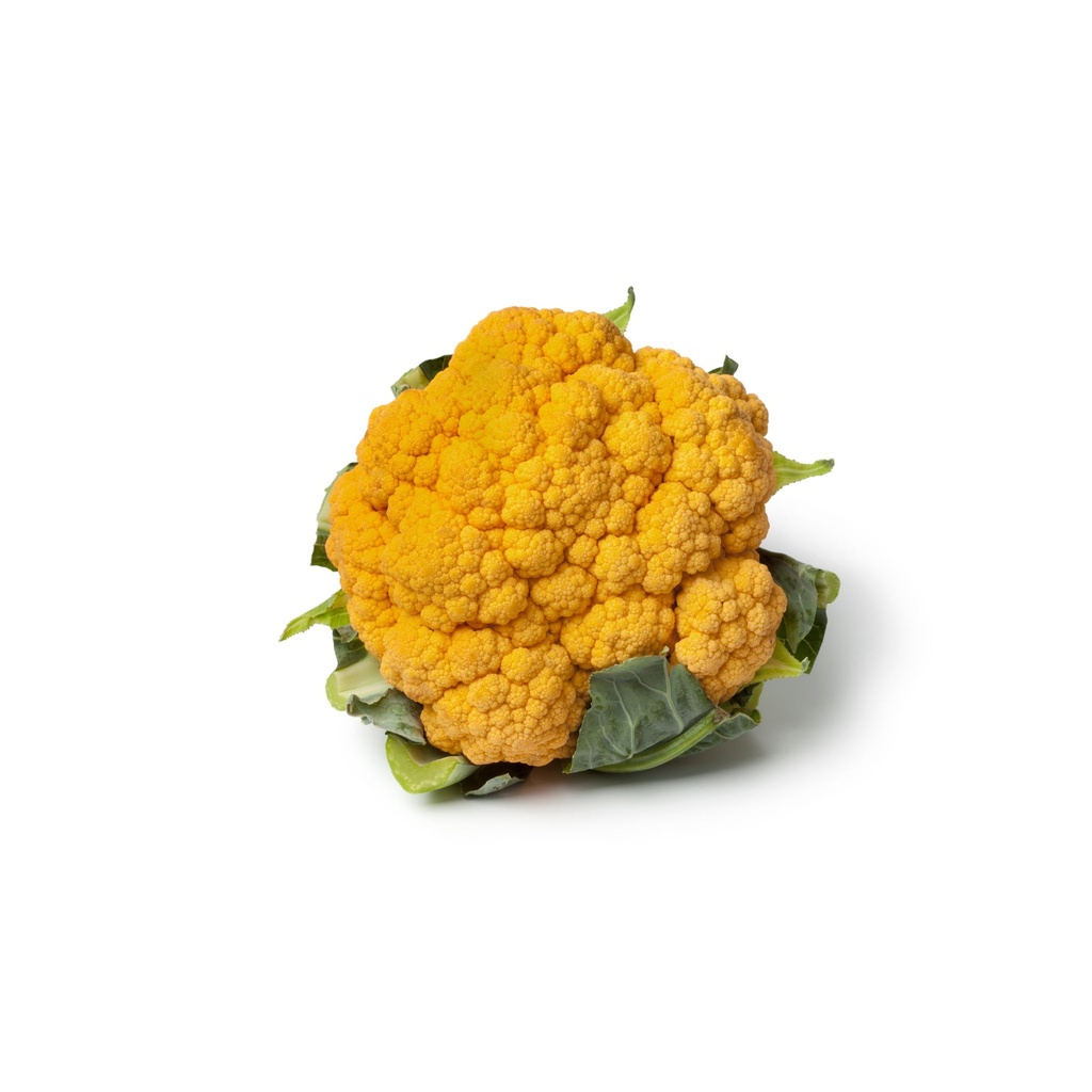 Orange Cauliflower [ Head ]