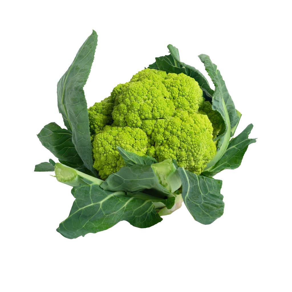 Green Cauliflower [ Head ]