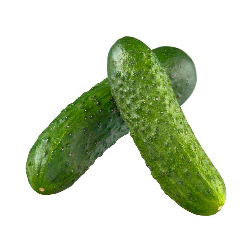 Pickling / Snacking Cucumber [ 1kg ]