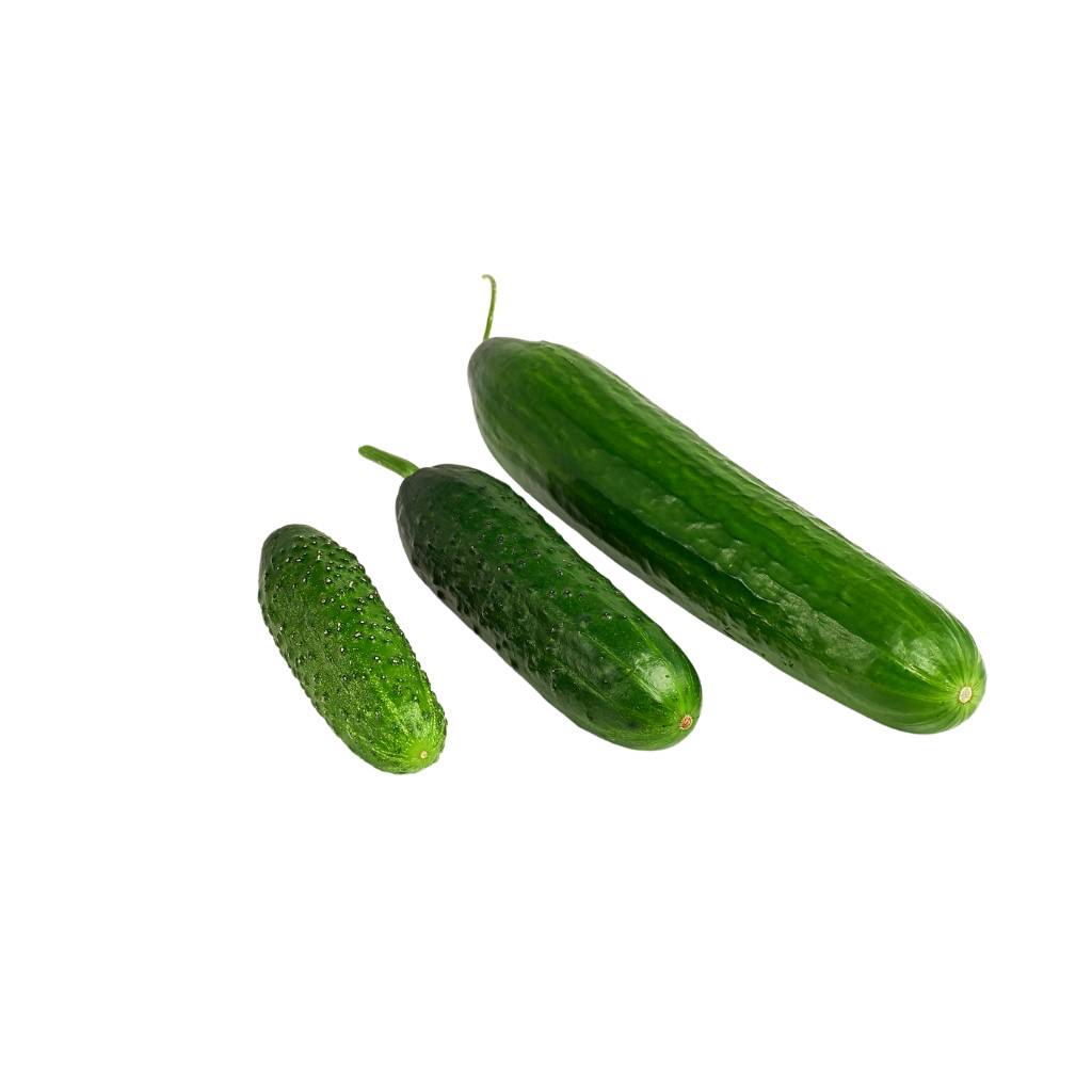 Cucumber Mix [ 1kg ]