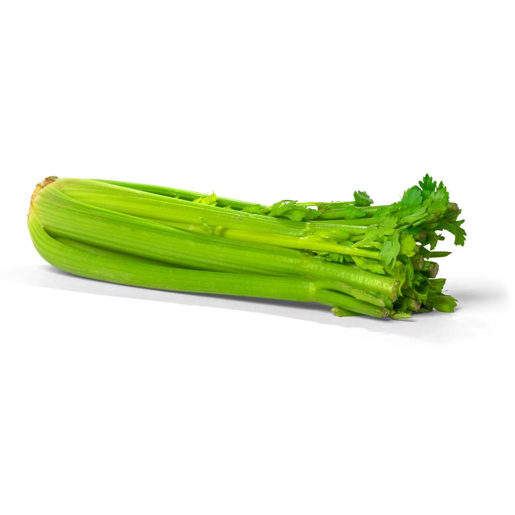 French Celery Juicing Sticks [ Head ]