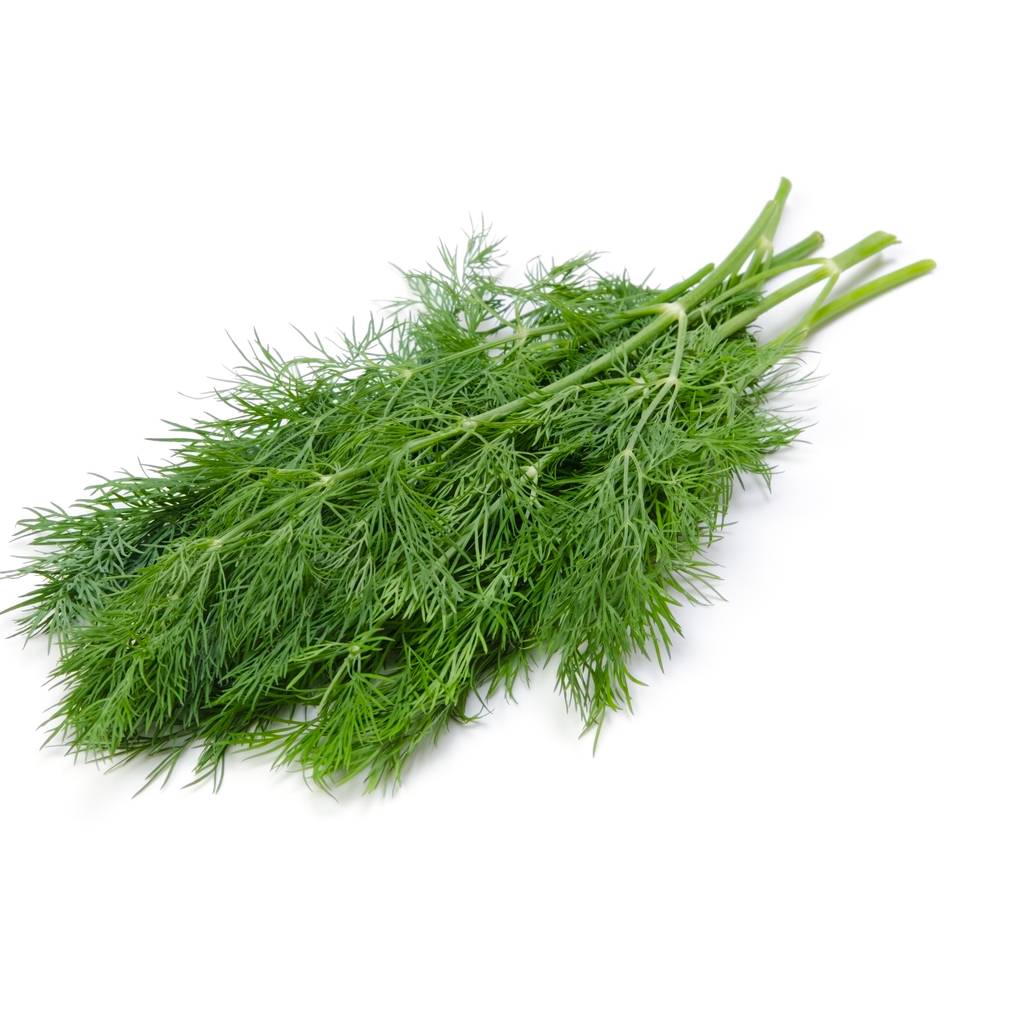 Dill [ 125g ]