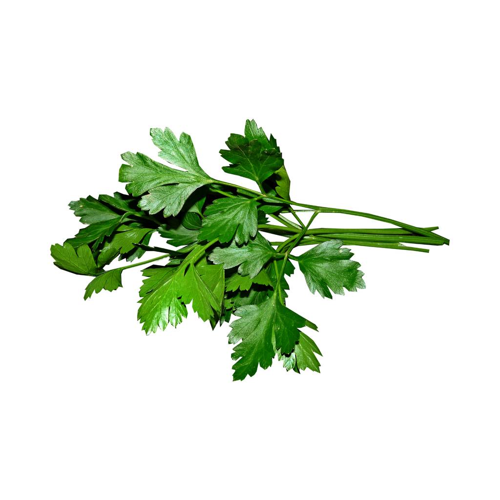 Parsley [ 125g ]