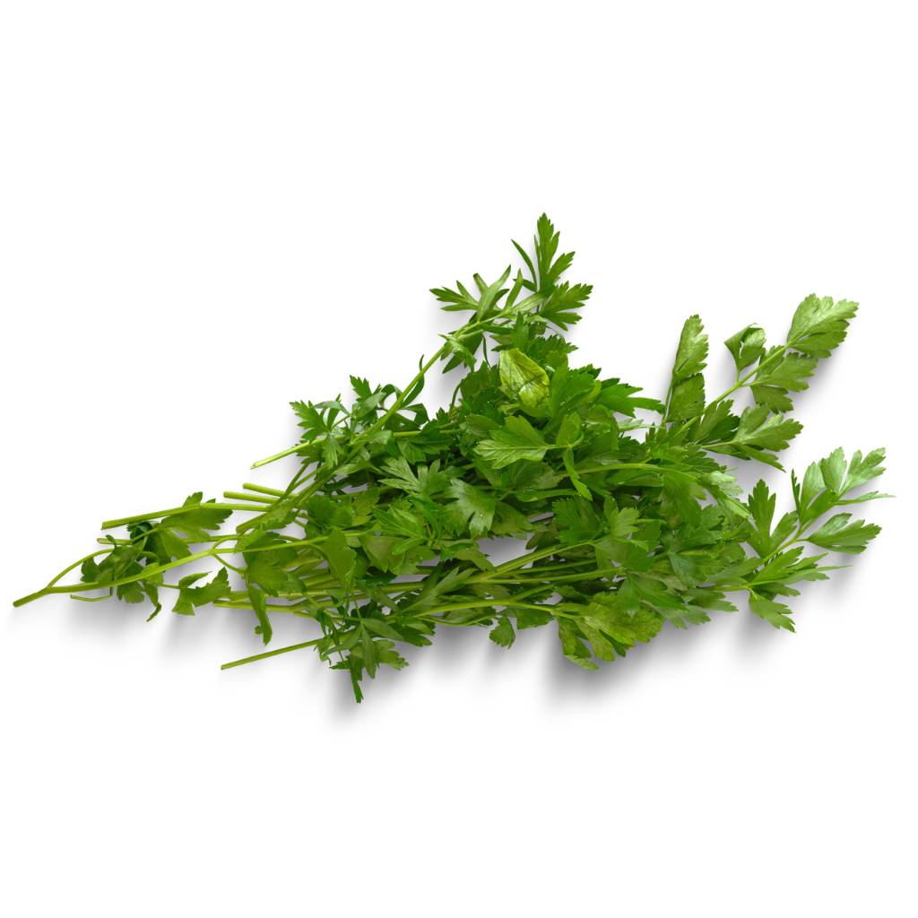 Giant Parsley [ 125g ]