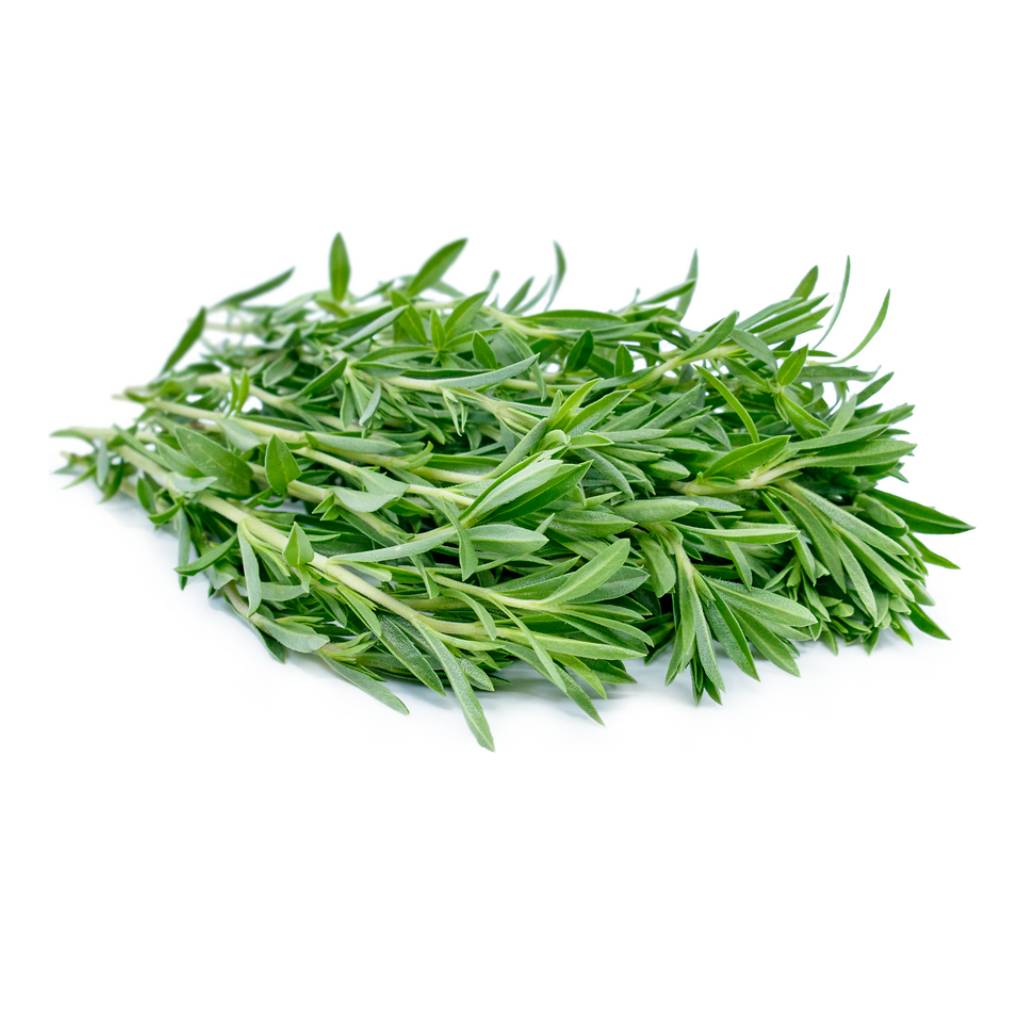 Lebanese Thyme [ 75g ]