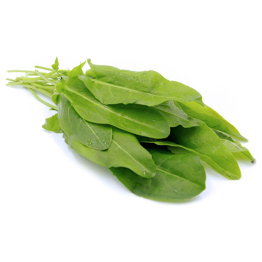 Green Sorrel [ 125g ]