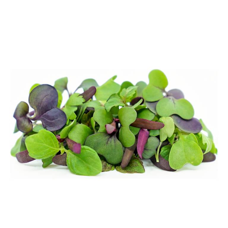 Microgreen Mix [ 100g ]