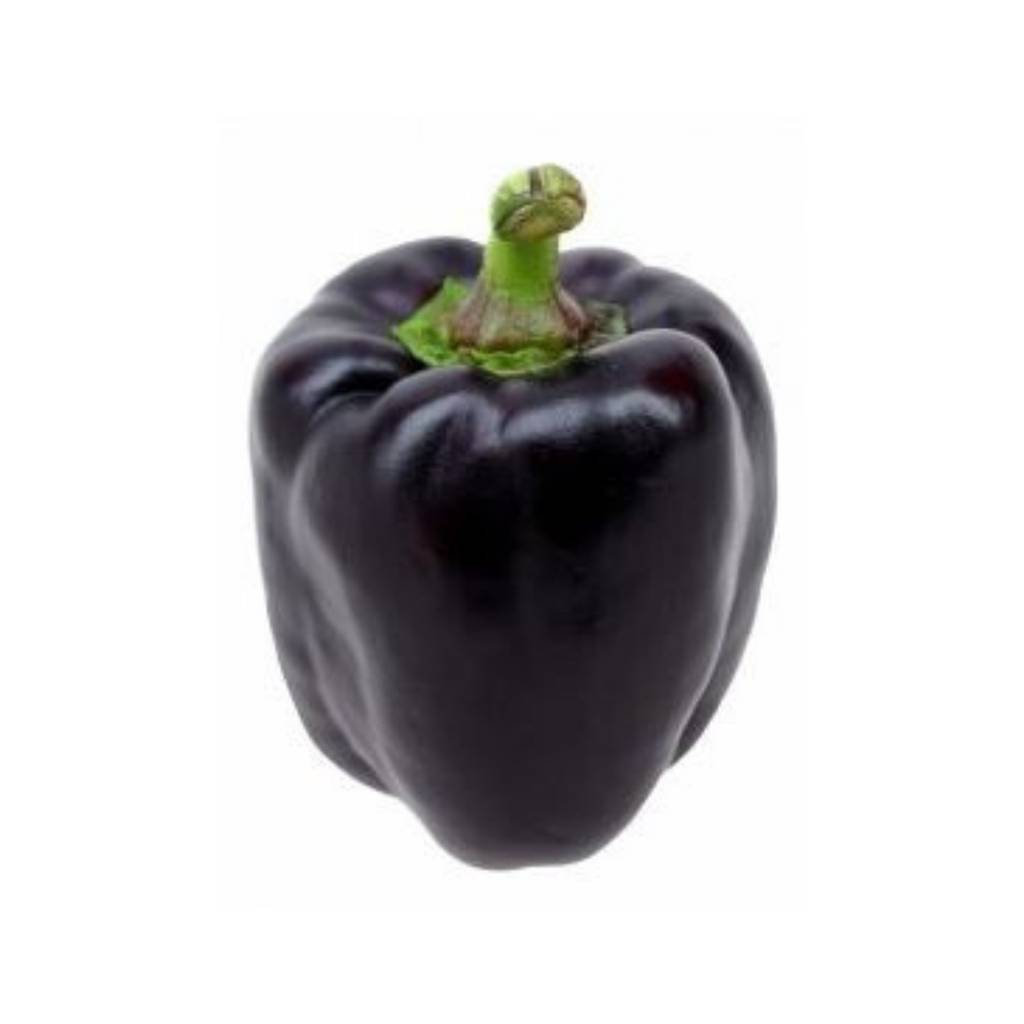 Black Bell Pepper [ 500g ]