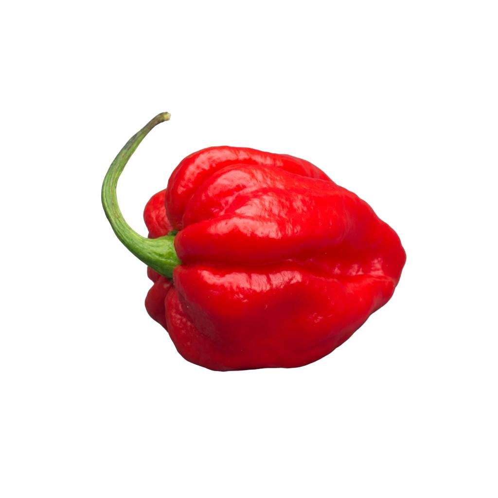 Carolina Reaper [ 125g ]