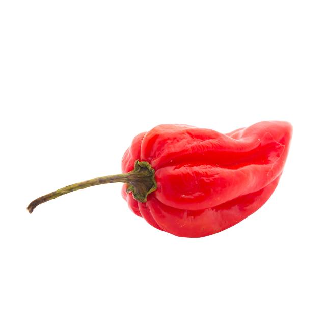 Red Habanero [ 125g ]