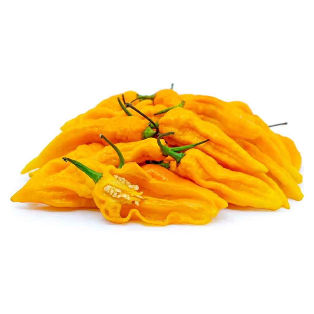 Ghost Chilli Golden [ 125g ]