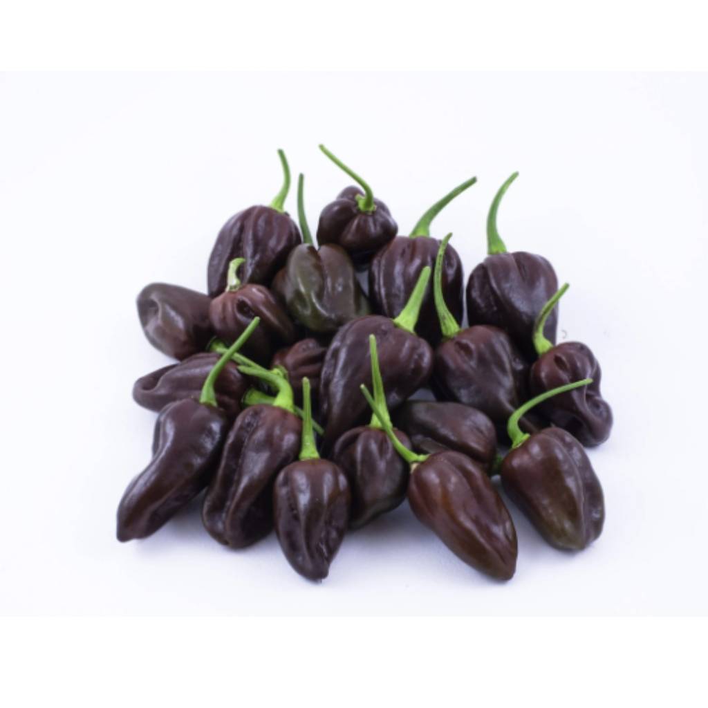 Purple Habanero [ 125g ]