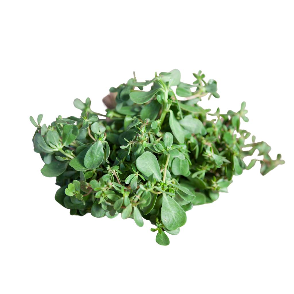 Purslane [ 125g ]