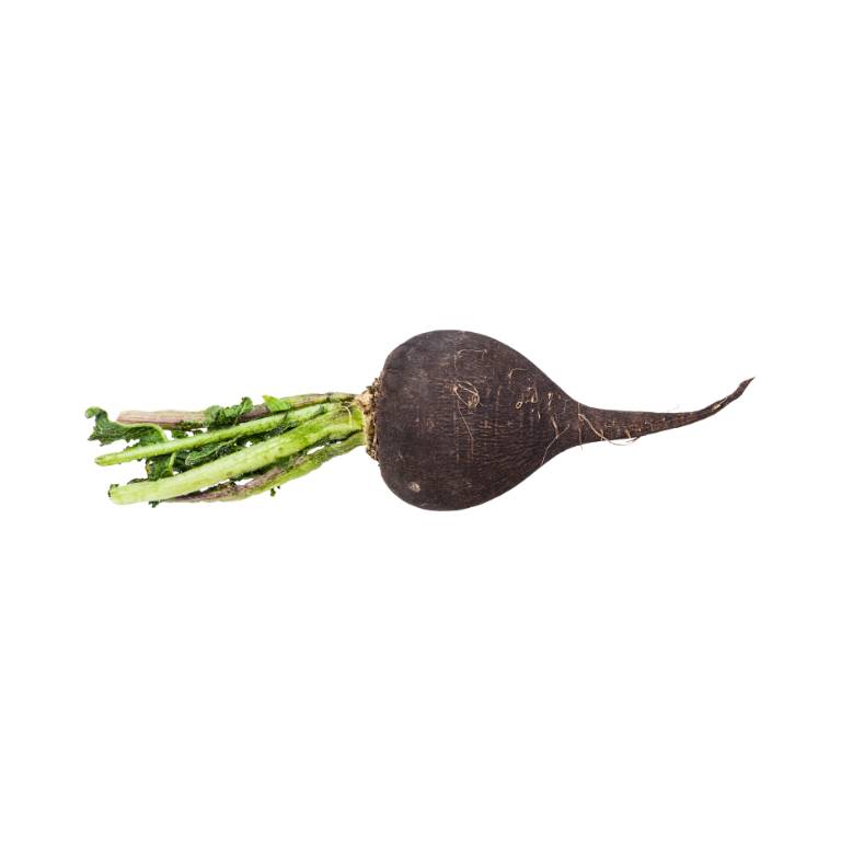 Black Radish [ 250g ]