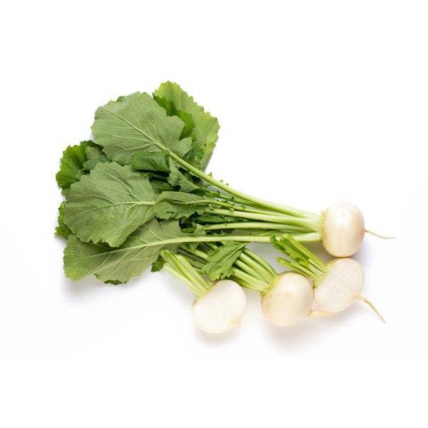 White Radish [ 250g ]