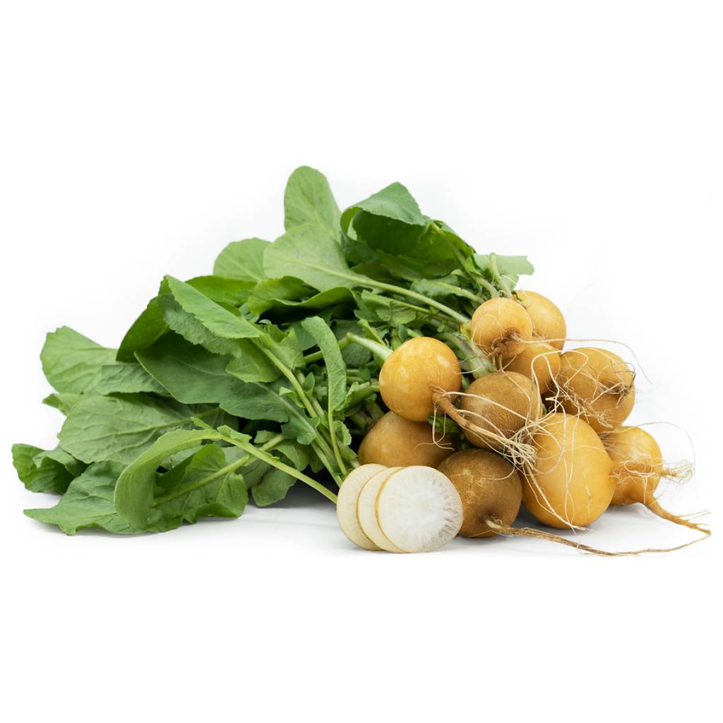 Yellow Radish [ 250g ]