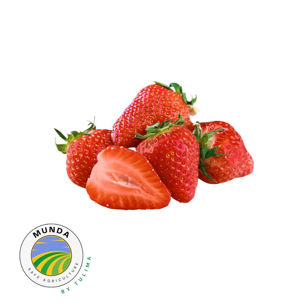 Open Field Strawberry [ 250g ]