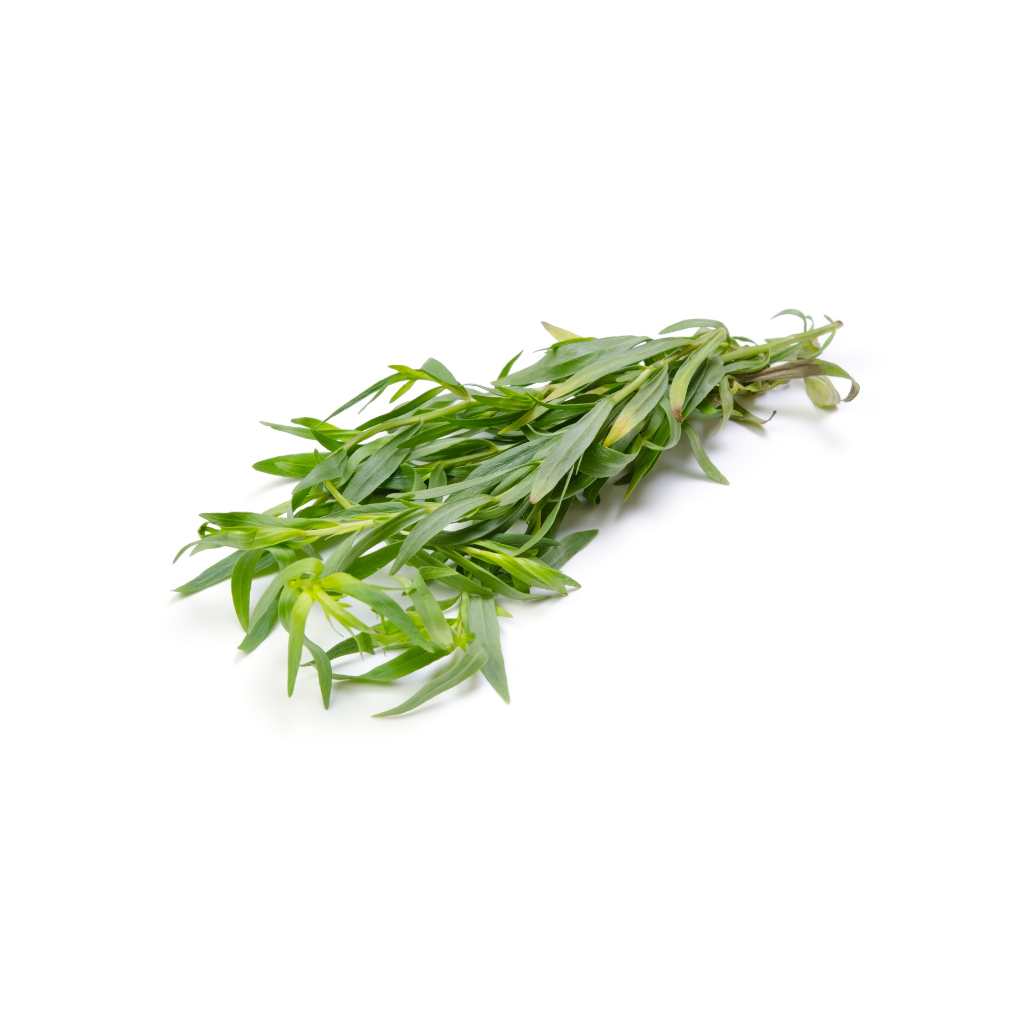 Tarragon  [ 75g ]