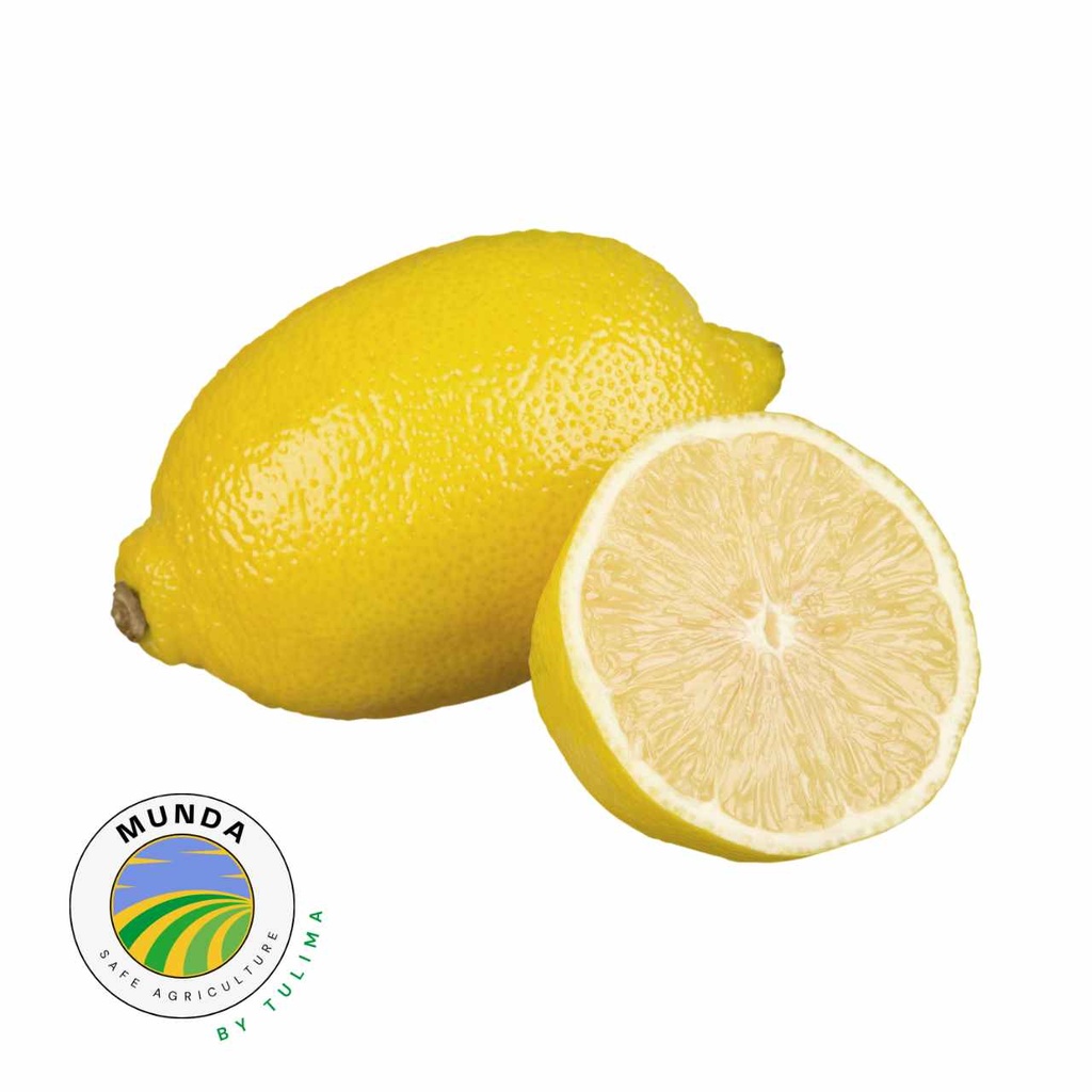 Seedless Genoa Lemons [ 500g ]