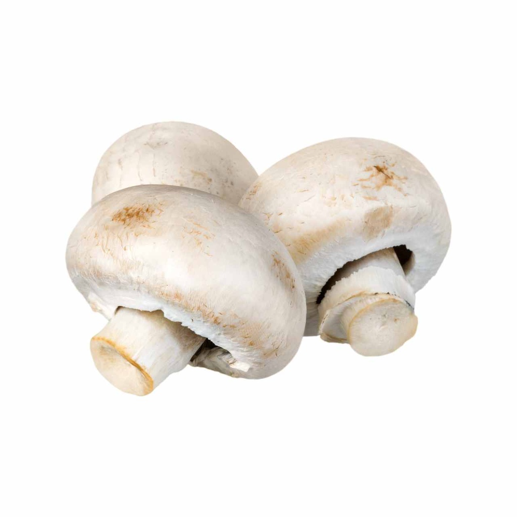 Munda Button Mushroom [ 250g ]