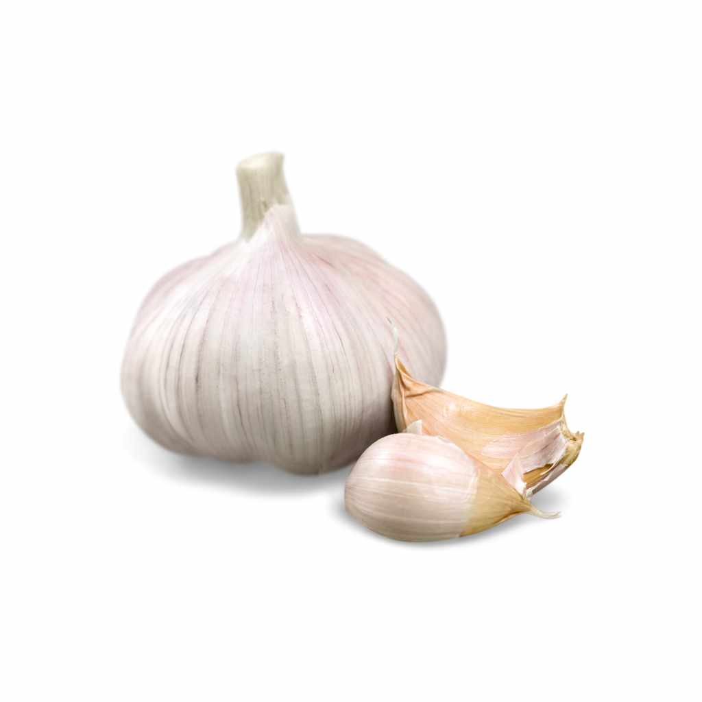 Munda Garlic [ 250g ]