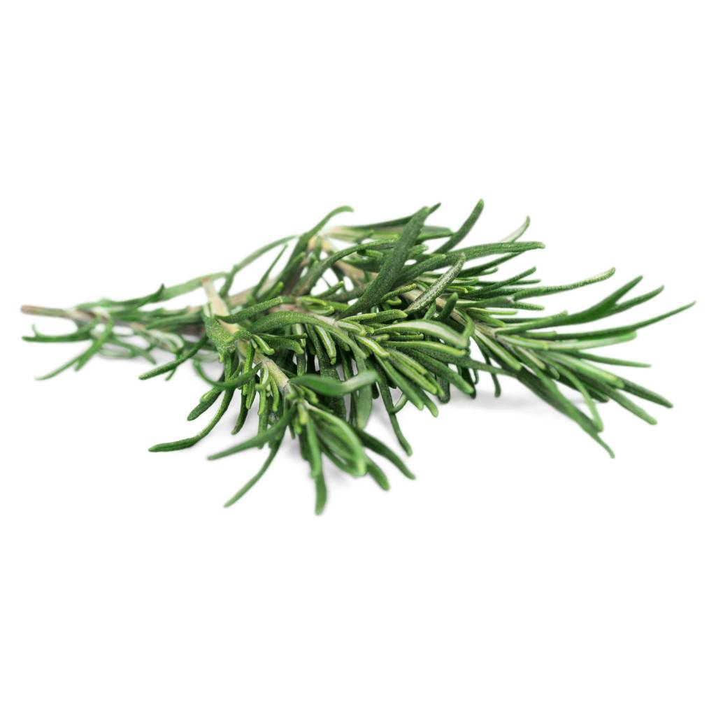 Rosemary [ 75g ]