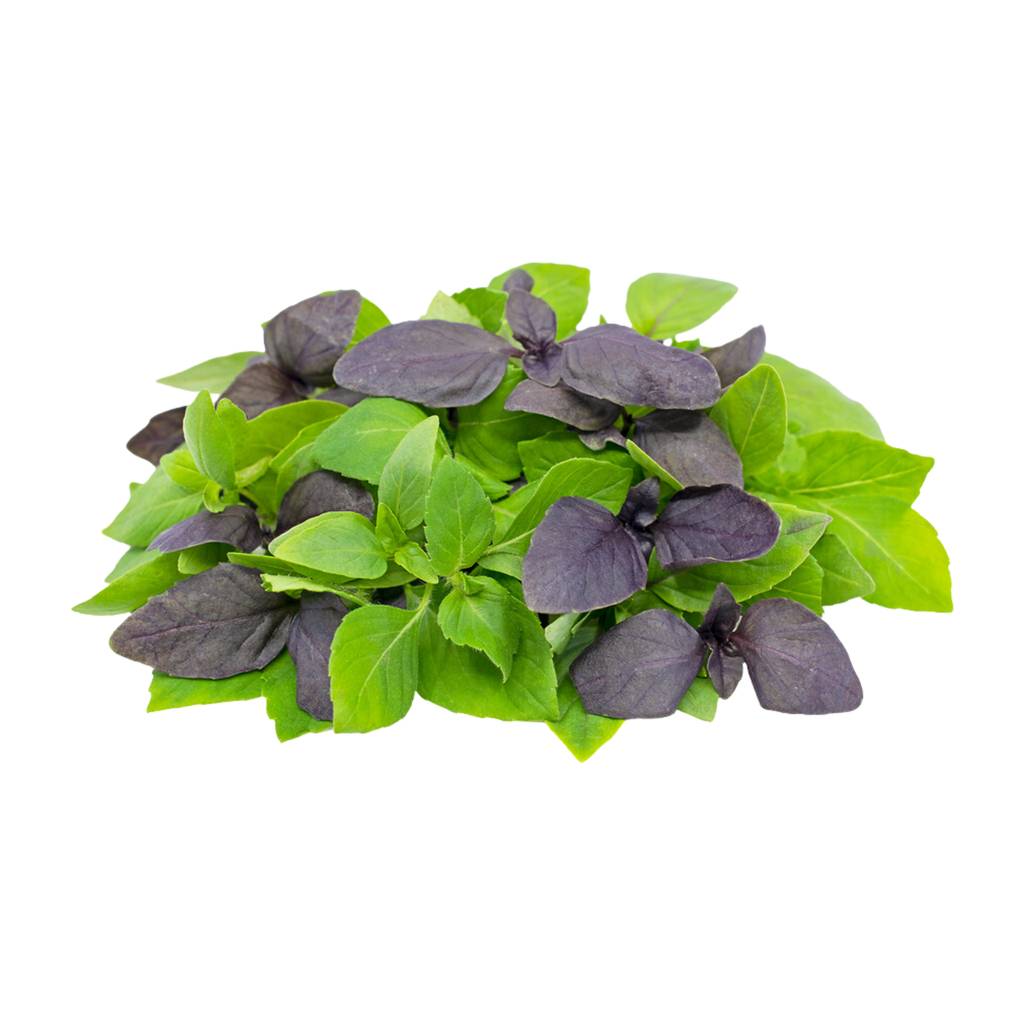 Basil Mix [ 75g ]