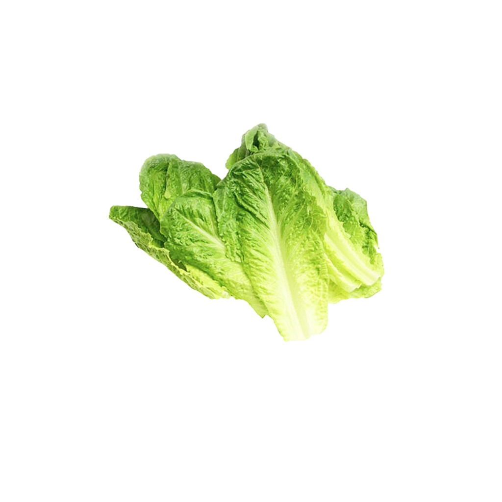 Romaine Loose Leaves [ 125g ]