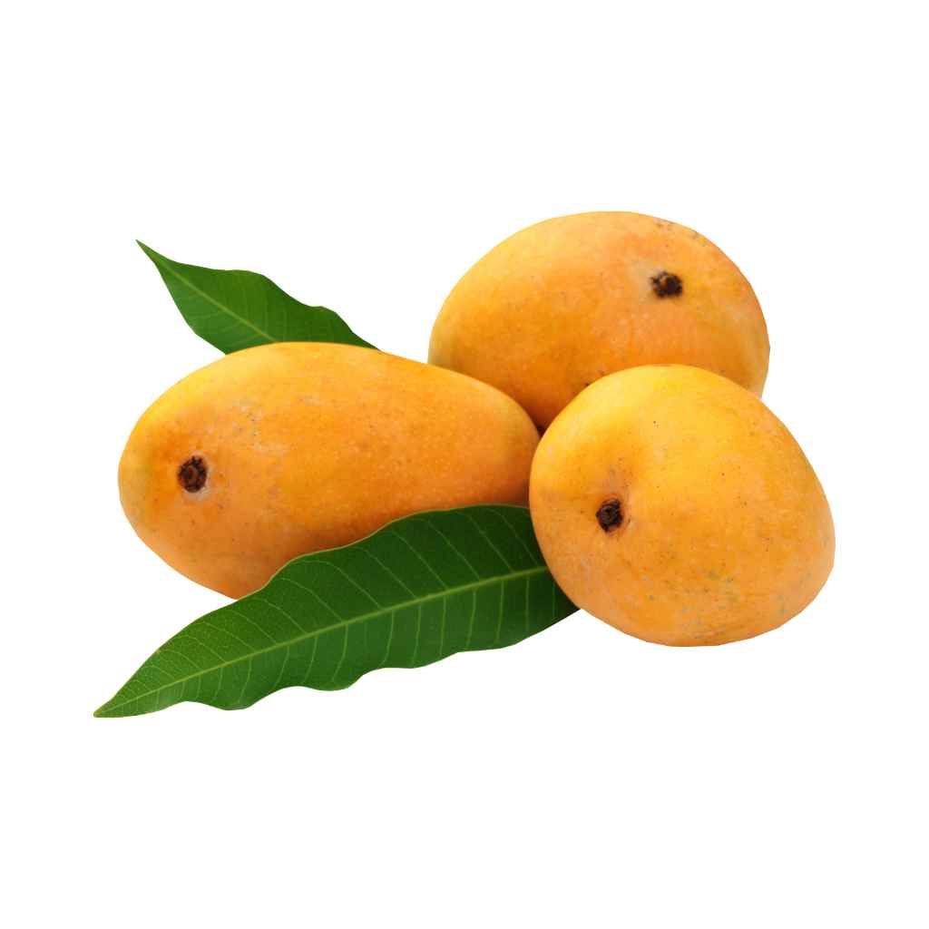 Tulima Mango For Juicing [ 2kg ] 