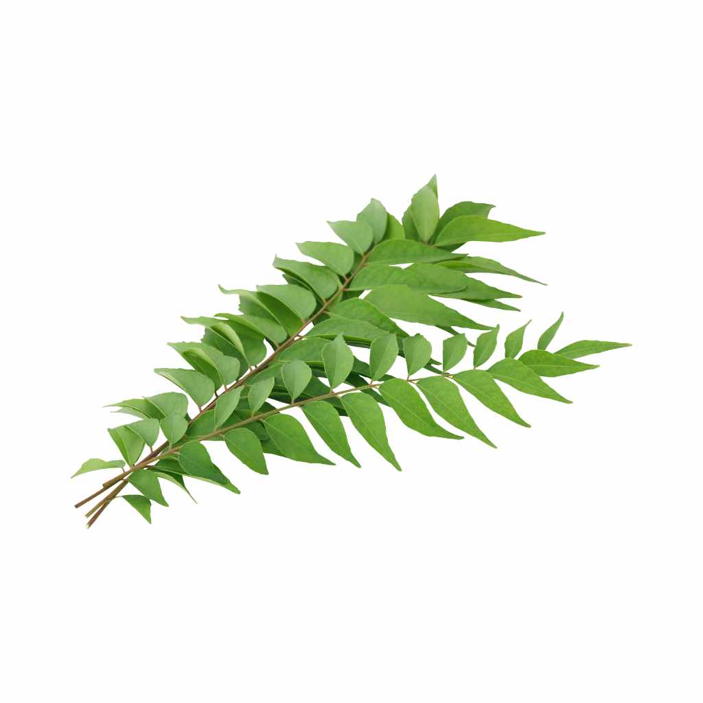 Curry Leaves [ 75g ]