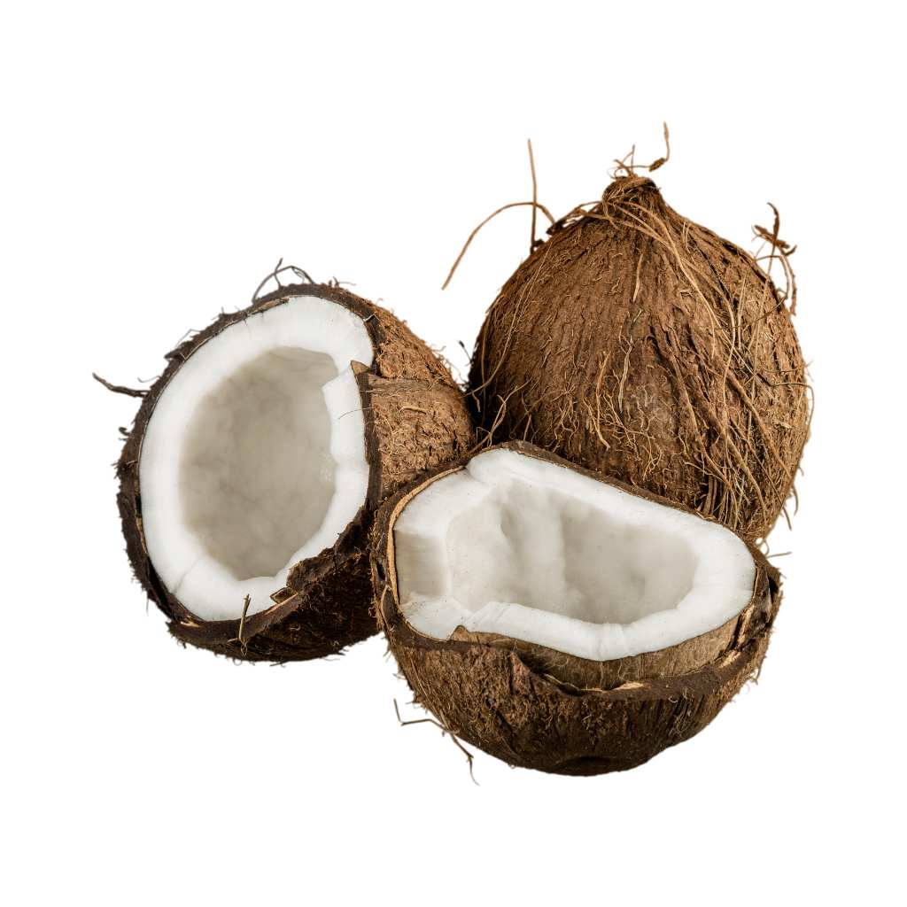 Fresh Munda Coconut [ Head ]