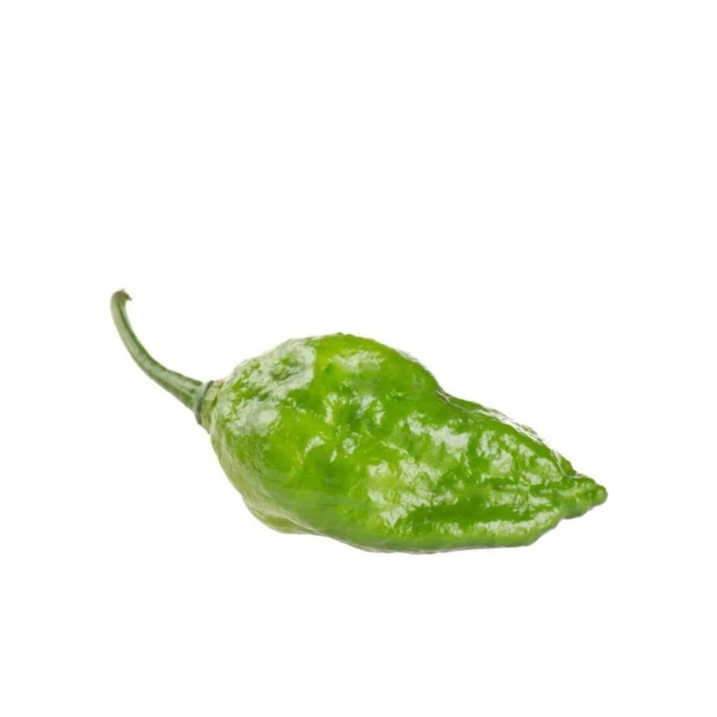 Ghost Chilli Green [ 75g ]