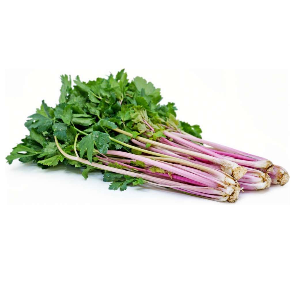 Pink Celery Leaf [ 75g ]