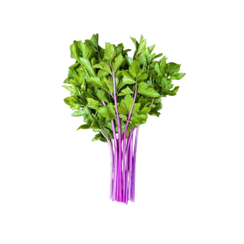 Pink Celery Leaf [ 125g ]