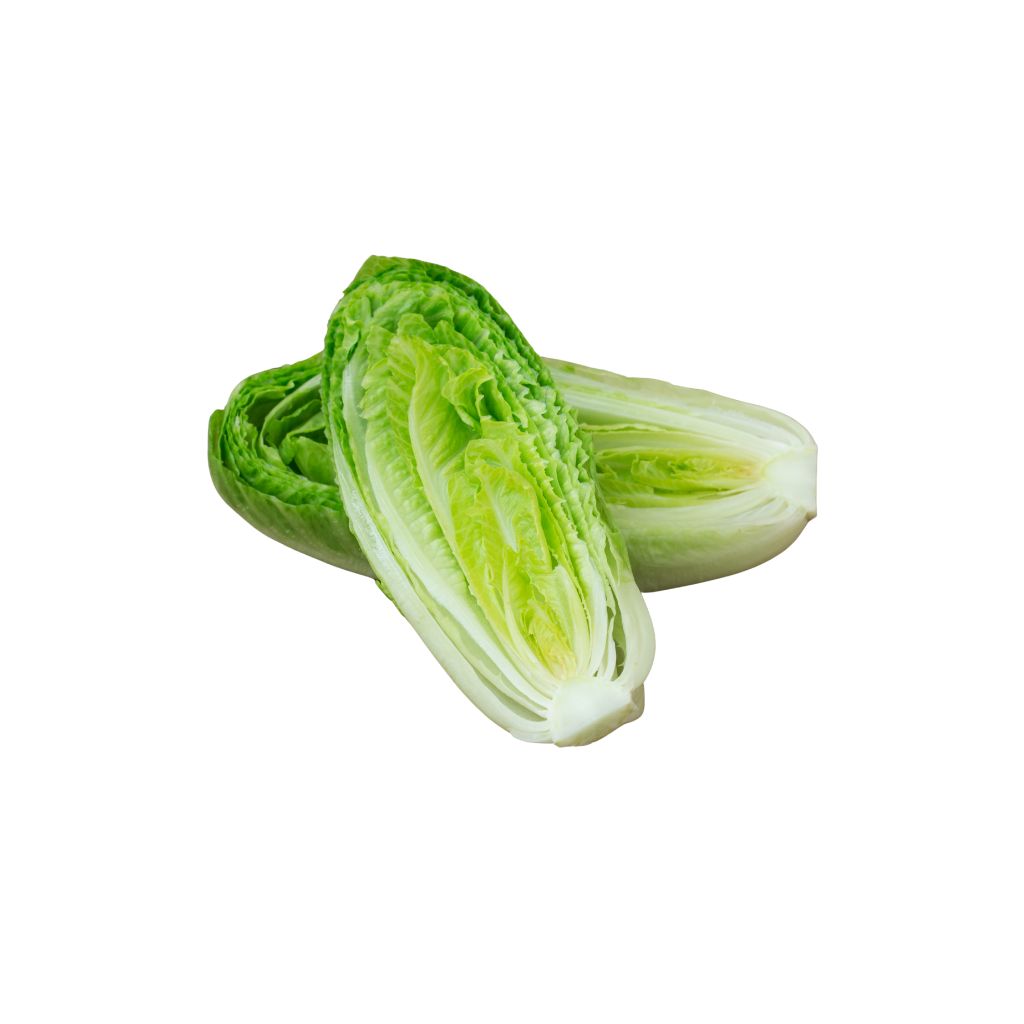 Romaine Hearts [ Two Heads ]