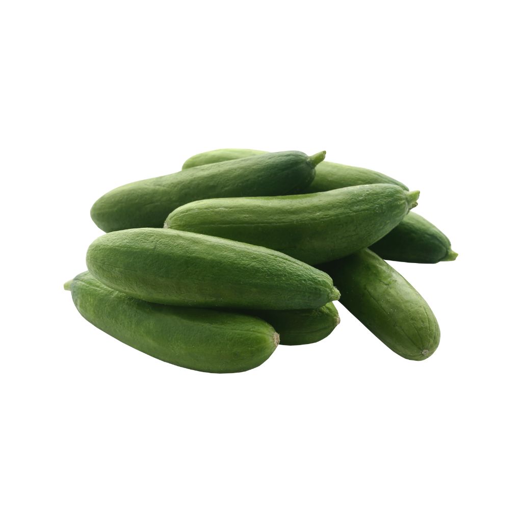 Snack Cucumber [ 1kg ]