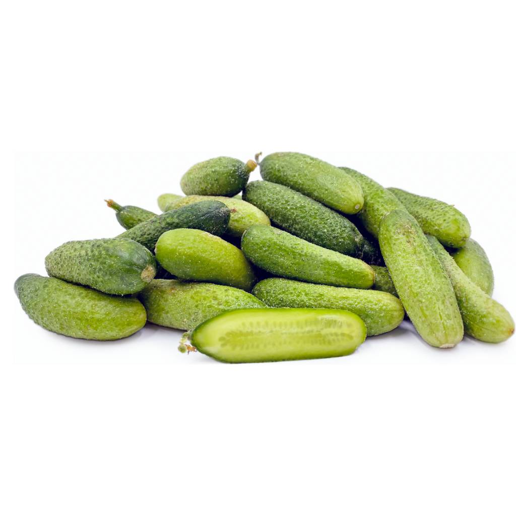 Gherkin Cucumber [ 125g ]