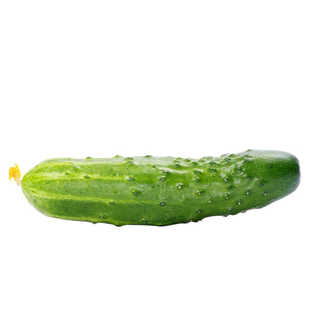 Crunchy Chicago Cucumber [ 500g ]