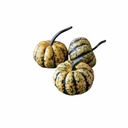 Acorn Golden Squash [ 2 Heads ]