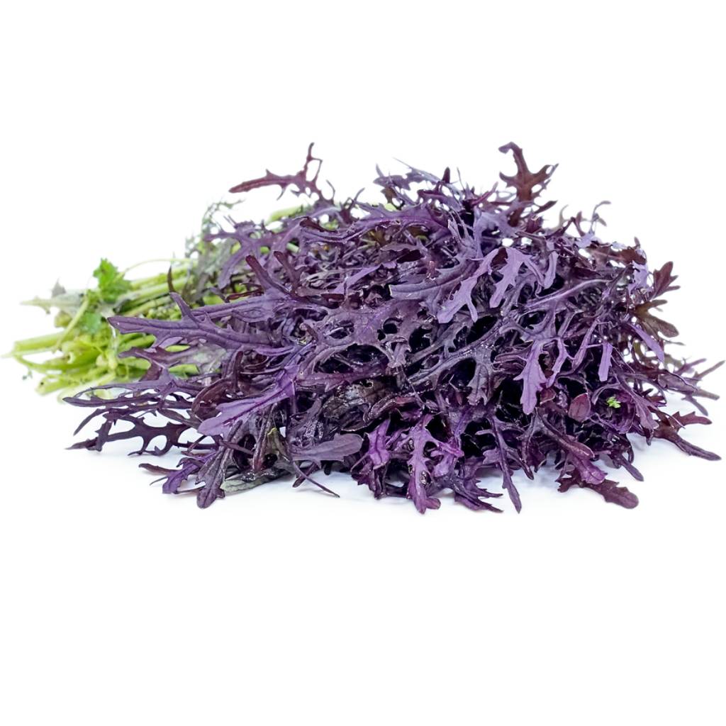 Mustard Purple Frills [ 75g ]