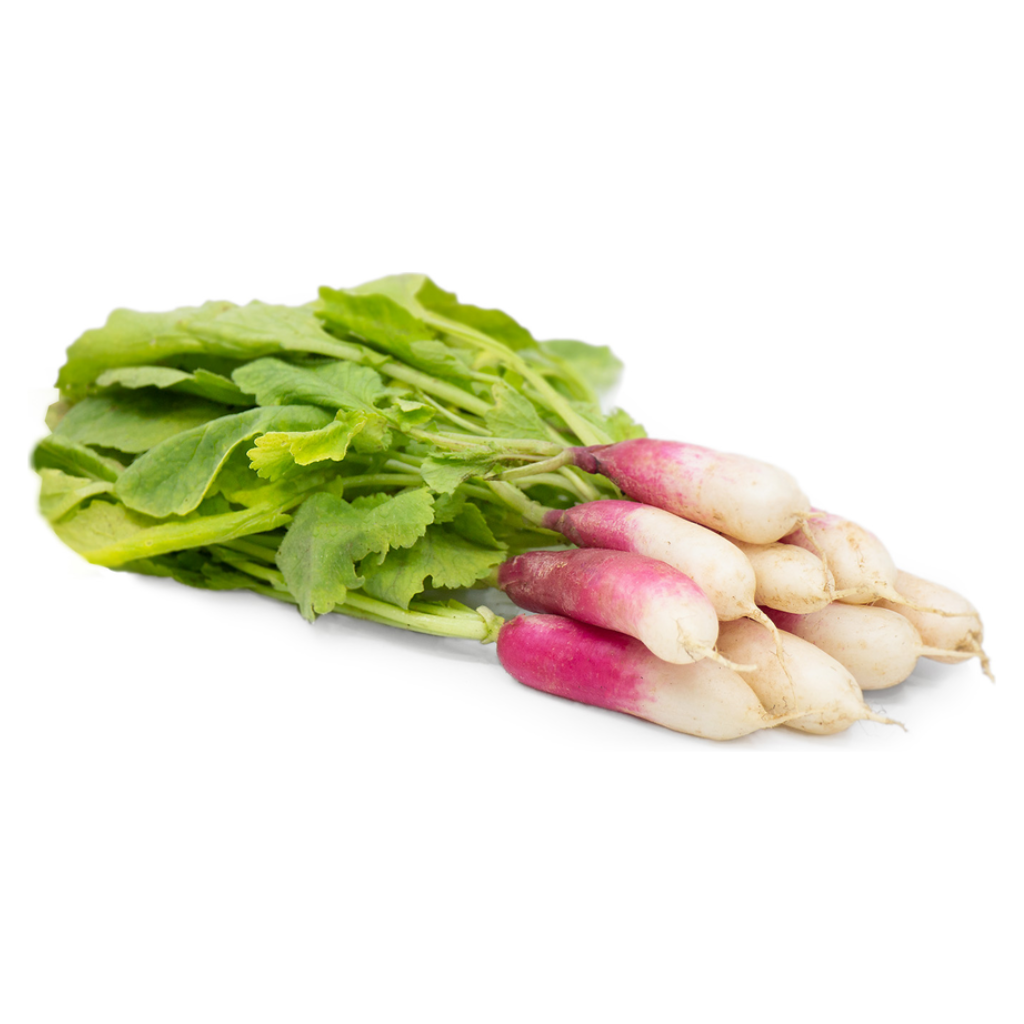 French Breakfast Radish [ 125g ]