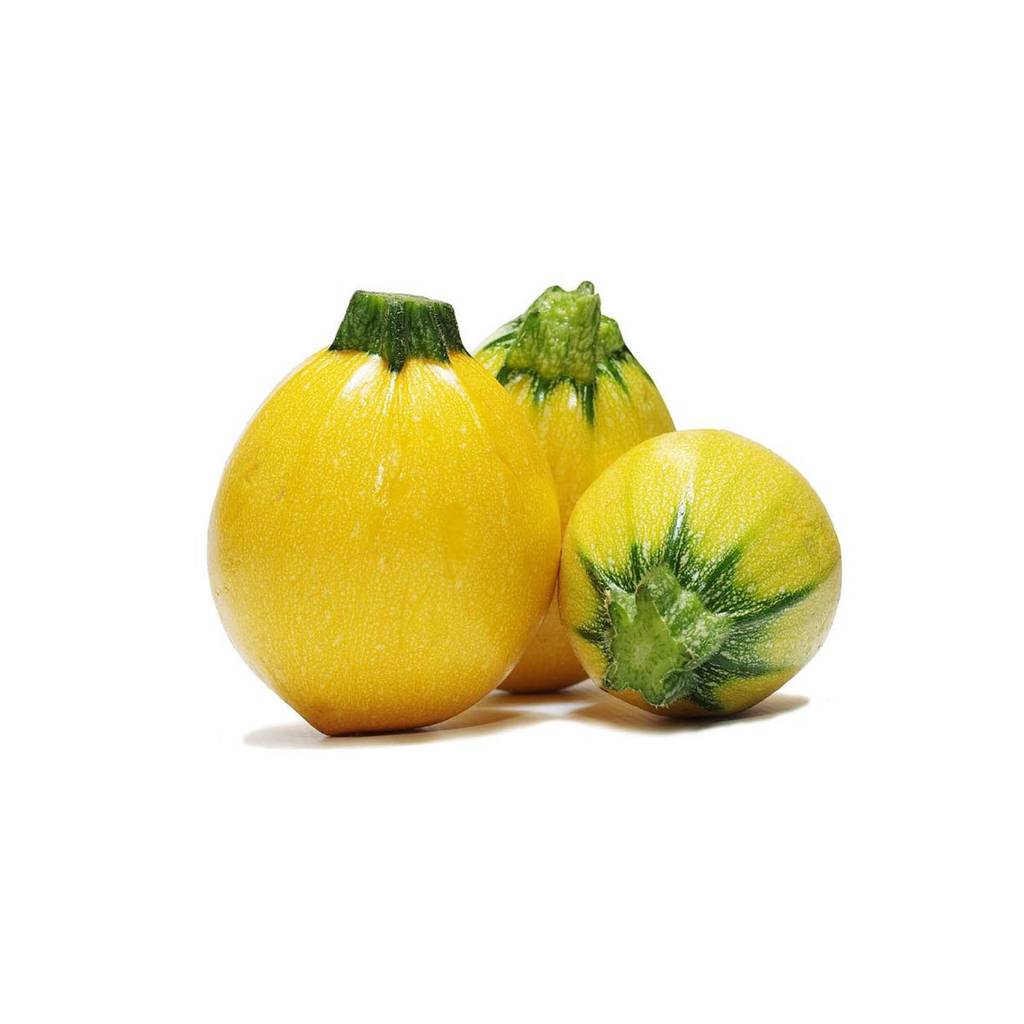 Yellow Round Zucchini [ 500g ]