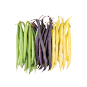 TriColor Fresh Beans [ 500g ]